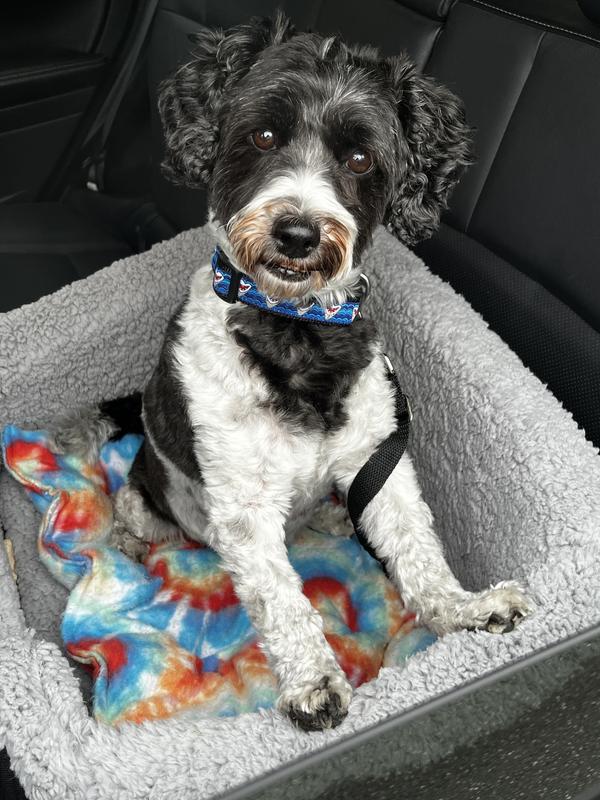 Otis loves his new car seat!