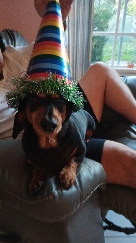 This is paco 7 birthday