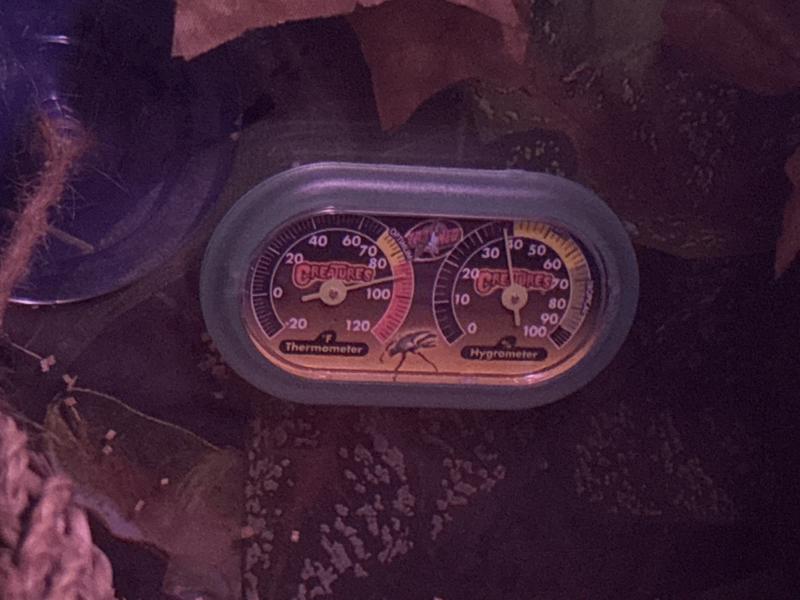 Awesome little device