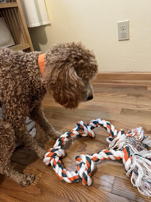 Giant on sale rope toy