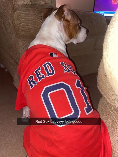 Pets First MLB Retro Throwback Jersey for Dogs, Small, Boston Red Sox