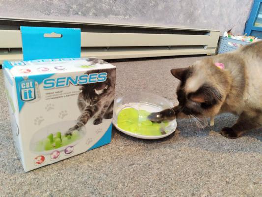 Cat Toy - Catit Senses Treat Maze