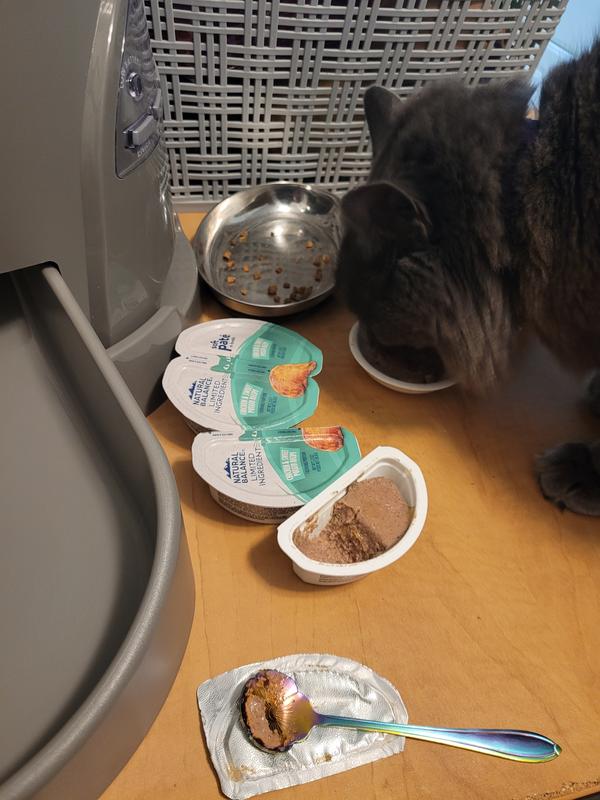 Merlin sampling some paté