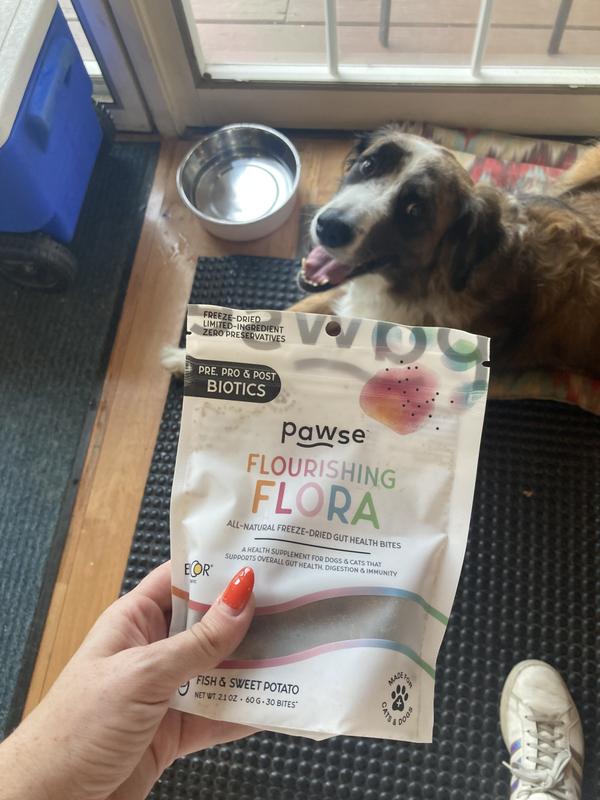 Tucker, hospitality professional, enjoying the treats
