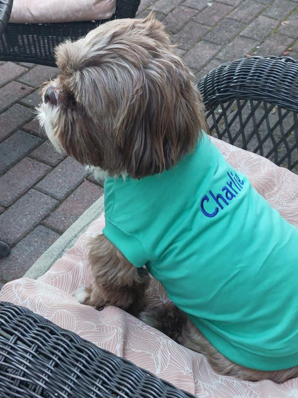 Charlie Sporting His New Tee