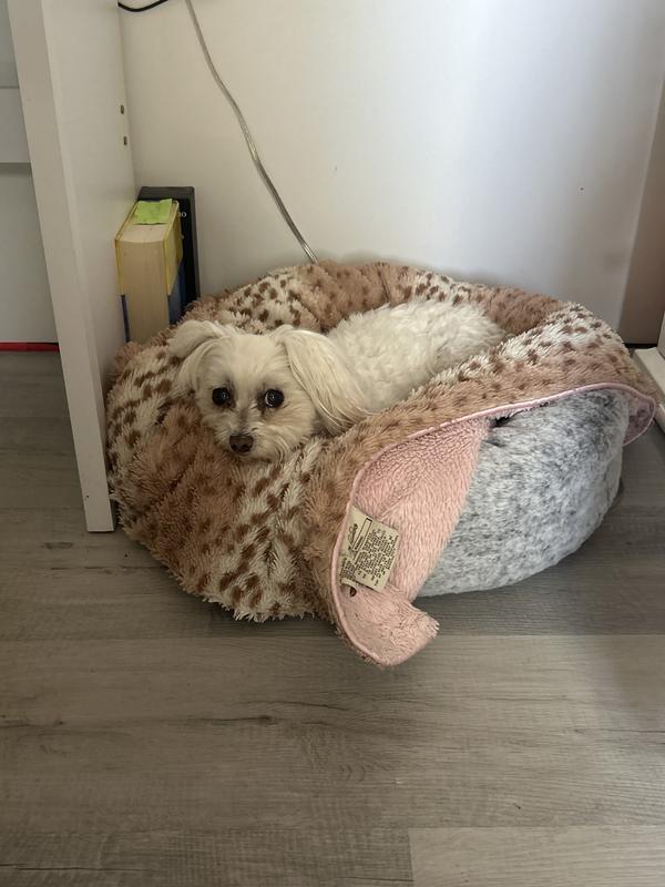 She sure seems to like it!