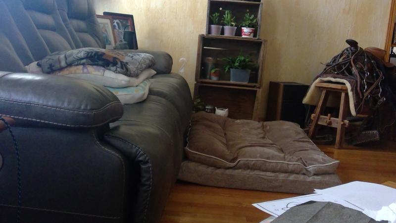 soft, plush, supportive