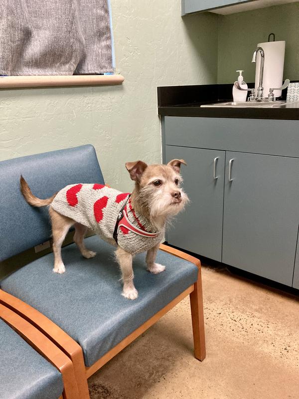 Wearing his new sweater to see the ophthalmologist.