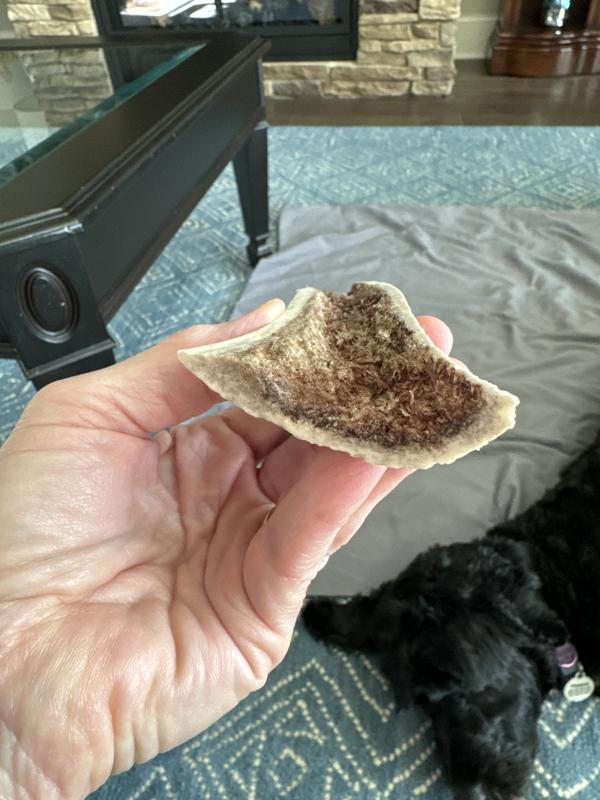 The marrow center didn't last long