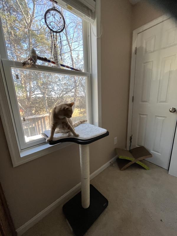 Out of Stock PETFUSION Ultimate Window Cat Perch