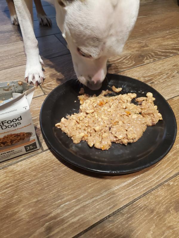 JUSTFOODFORDOGS Pantry Fresh HumanGrade NonGMO Variety Pack Fresh Dog