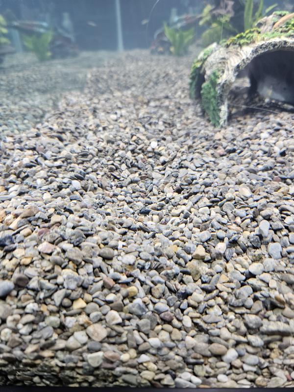 ACTIVFLORA Planted Aquarium Substrate, Lake Gems, 20lb bag