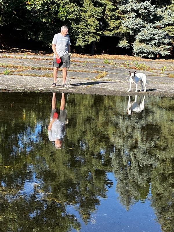A walk at the park!