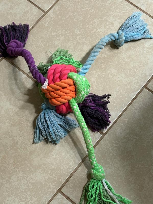 Oct.2025 great condition