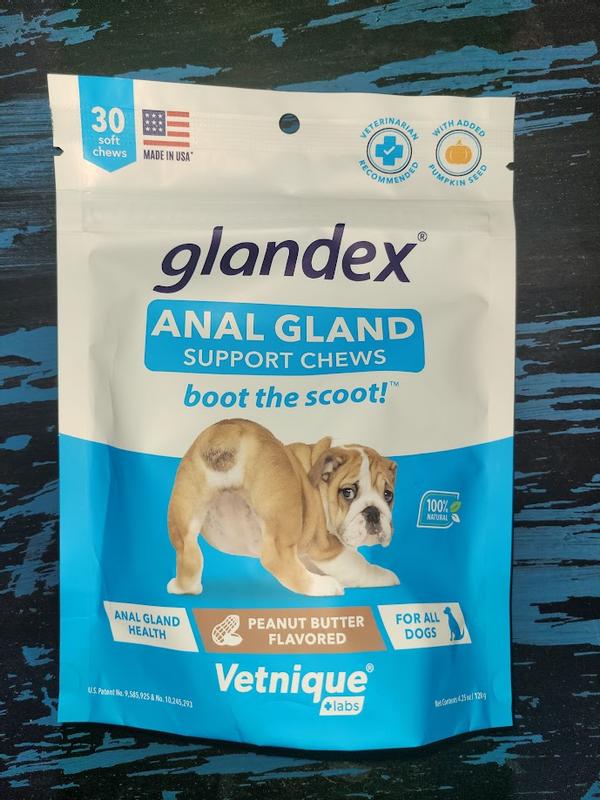 Vetnique Labs Glandex Anal Soft Chews pour Chiens avec enzymes digestives,  Citrouille et Haute teneur en Fibres (60ct) : : Animalerie