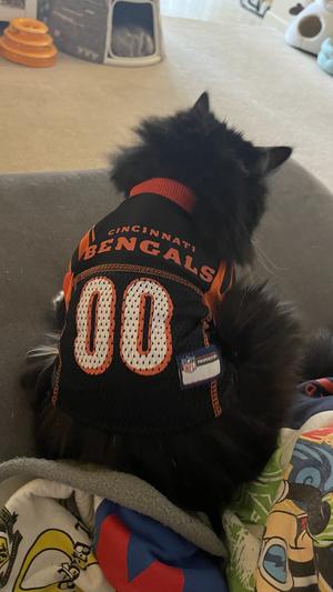 Pets First NFL AFC North Mesh Jersey For Dogs, Medium, Cincinnati