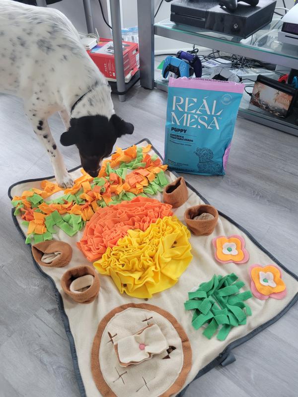 Looking for the yummies in our snuffle mat.