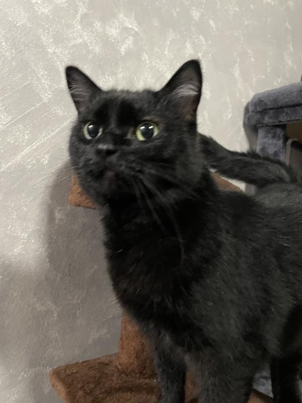 Curious about what I have