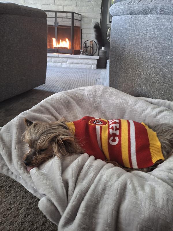 The small fits my 8 lb. Yorkie perfectly!
