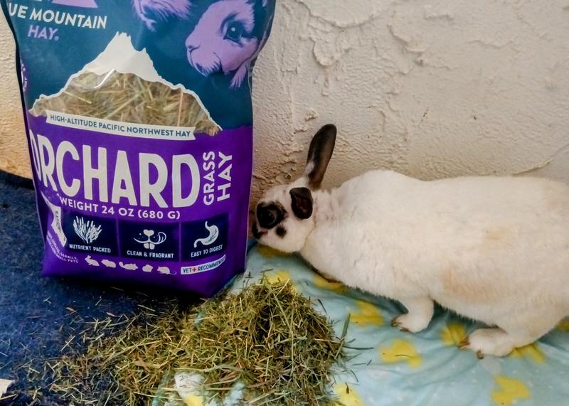 "mmm, says it's easy to digest"