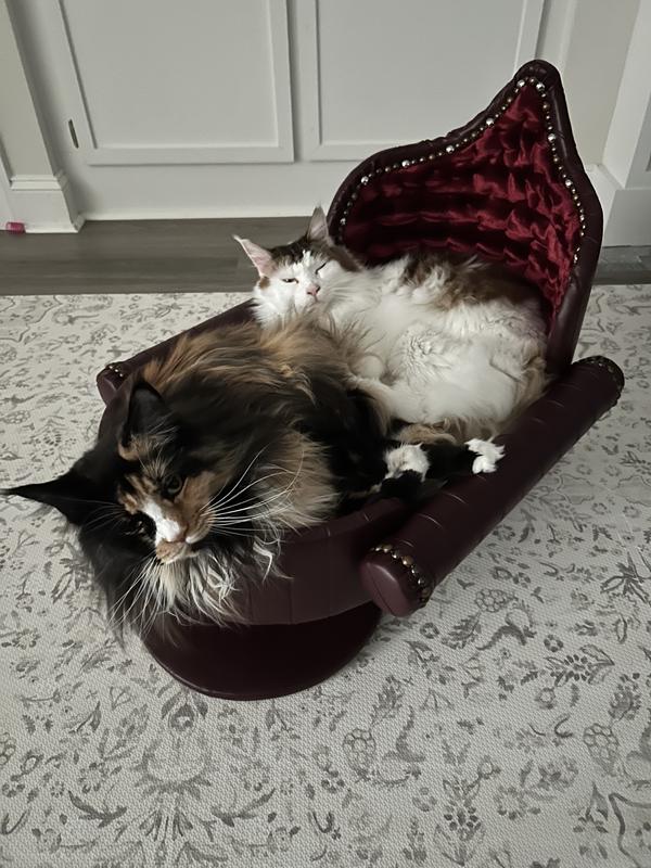 Royal Cat Boutique Royal Davenport Luxury Bolster Dog & Cat Bed