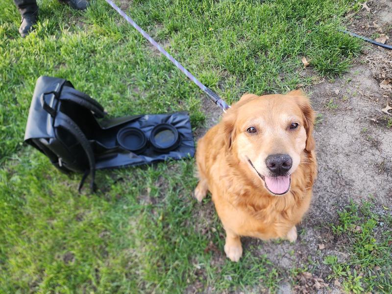 We love our backpack