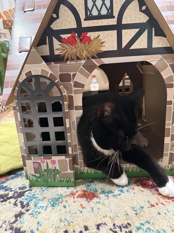 Homeowner at 2 years old