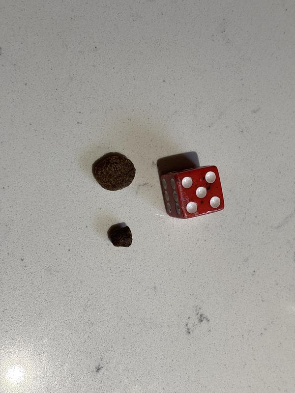 Kibble size comparison