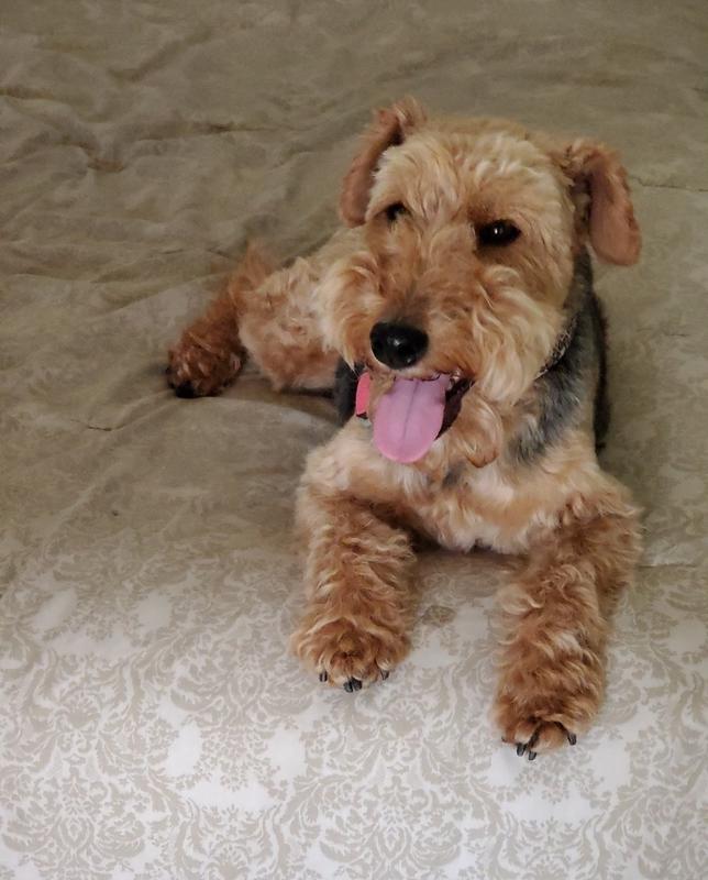 "Look ma, fresh breath"