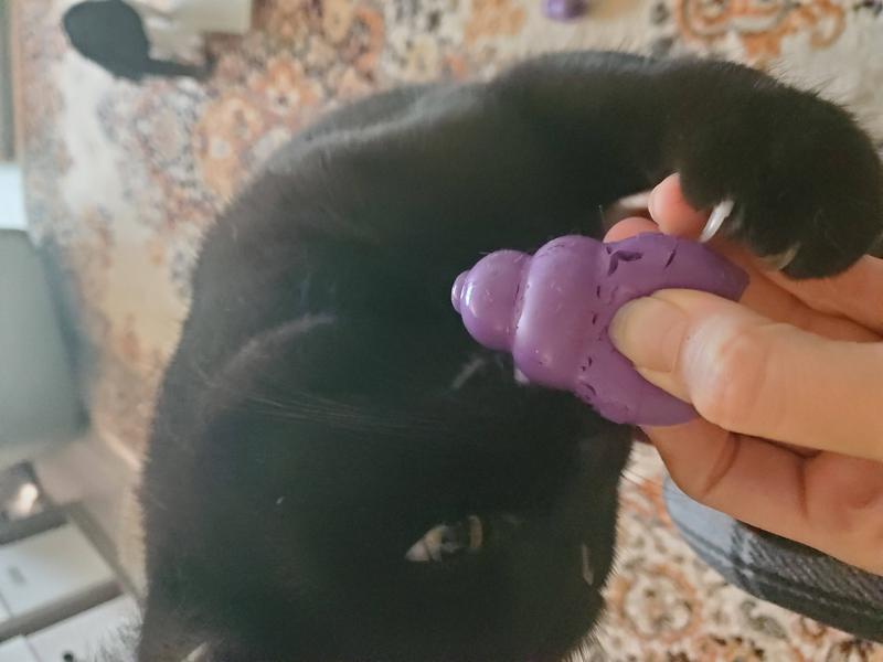 Kitty Kong for Treats & Play CHEAPER THAN CHEWY!