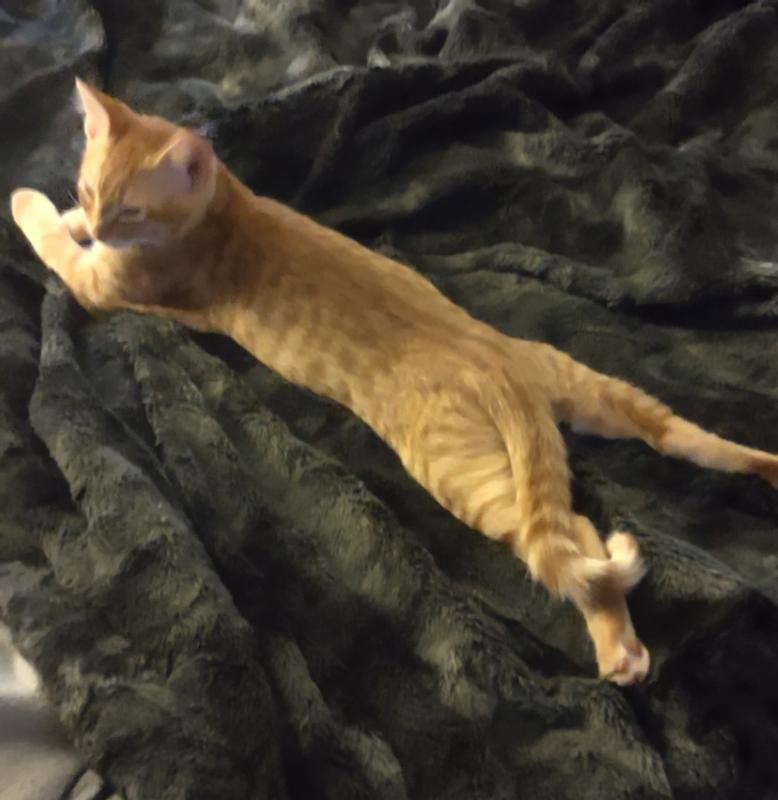 Calm before the storm