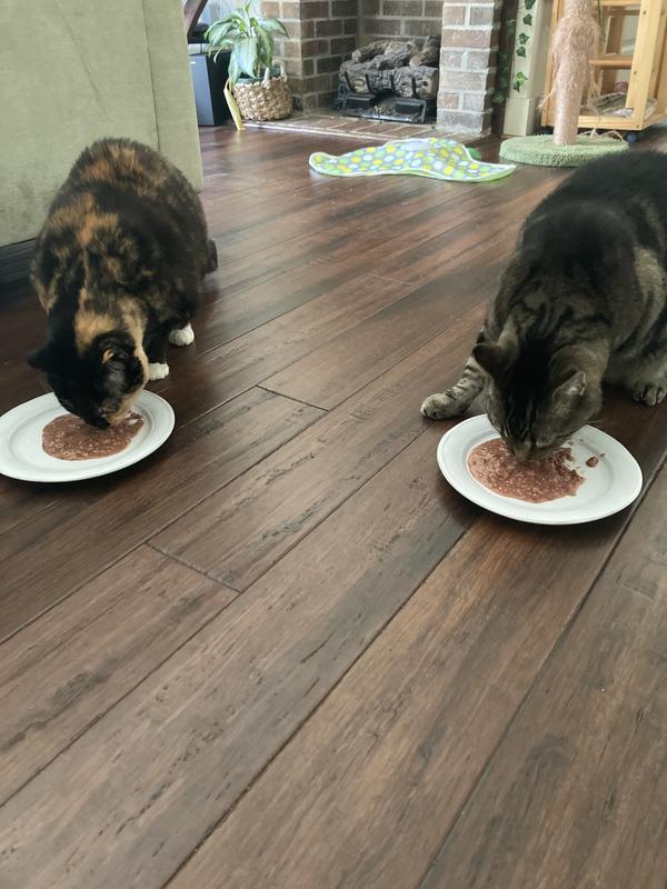 Luna & Meeko fine dining on Soulistic
