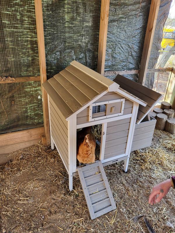 Crabtree was the first to explore