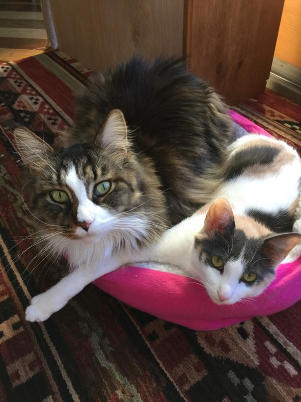 They love each other