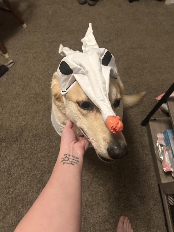 Note how the head is completely flat!