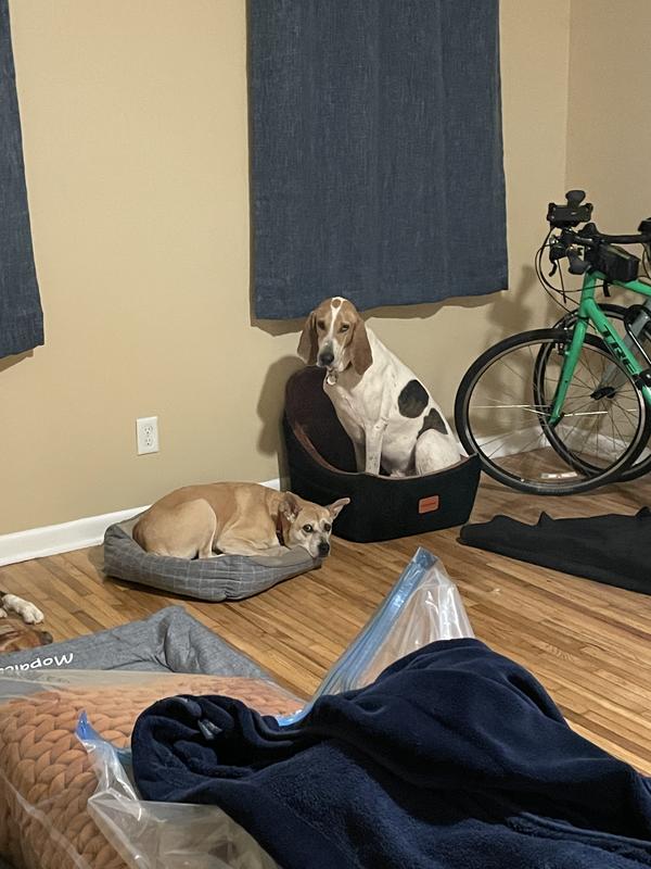 85lbs and if I fits, I sits😝