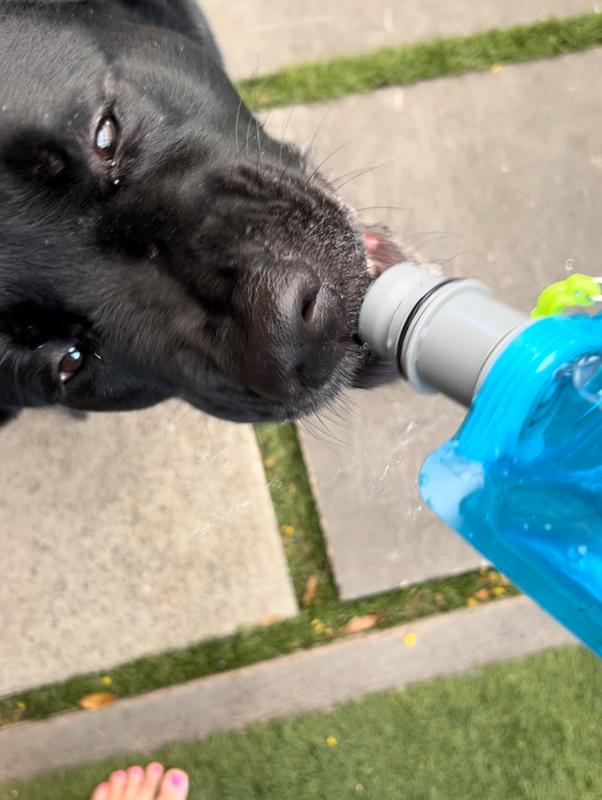 No problem getting water