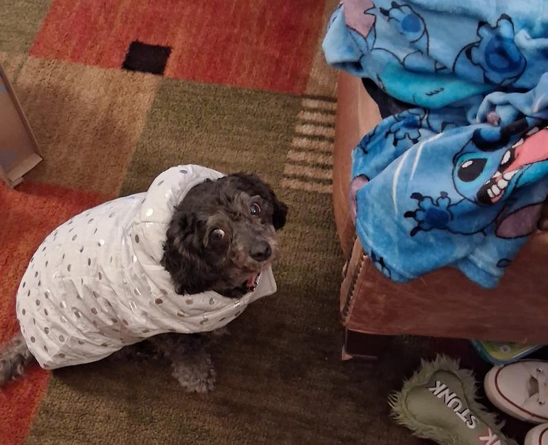 Not sure about this! 😅