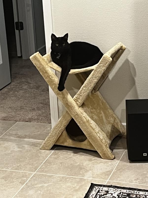 Kiki has made it hers.  She called dibs