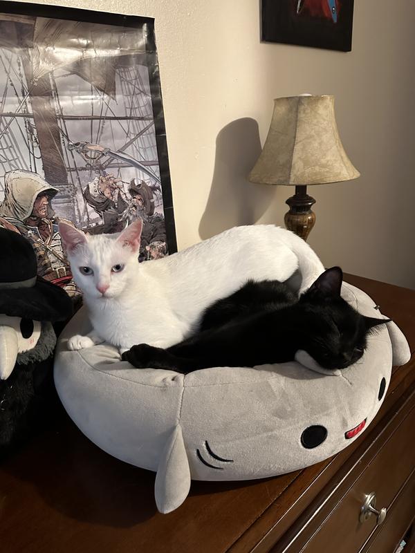 Squishmallows Gordon The Shark Pet Bed - Chaar