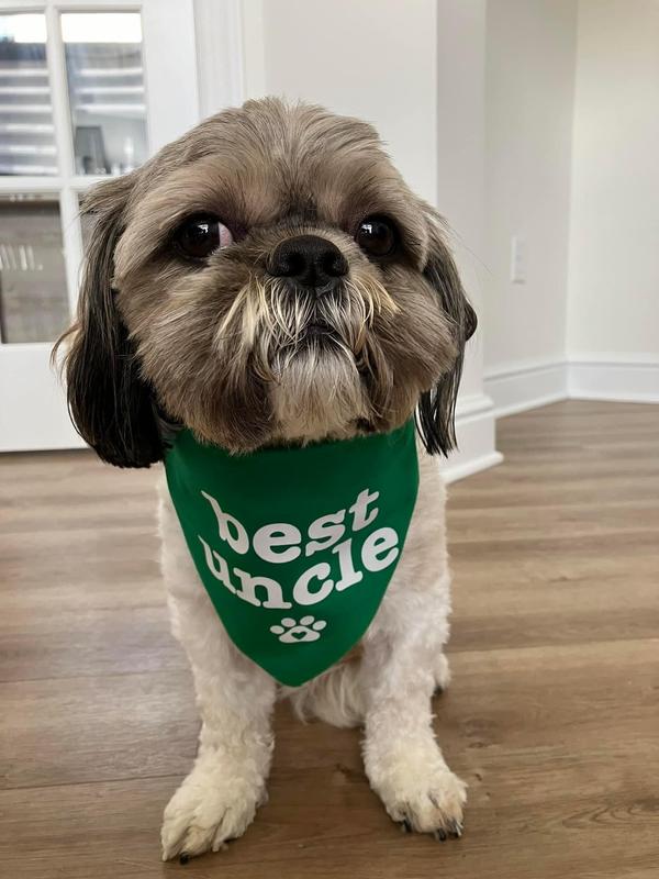 Luca loves this food!!! No itching!!!