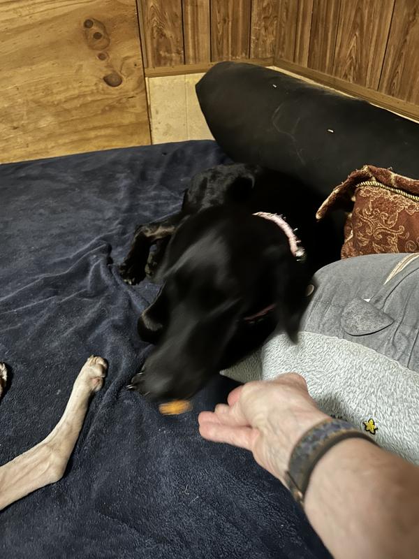 Thumbelina says that’s good