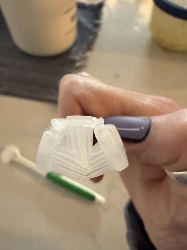 Small stiff , bristles