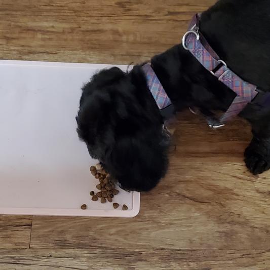 ORE: Dog Food Mat – CURIOUS