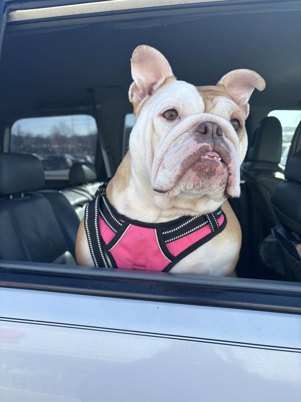 I smell amazing and I know it