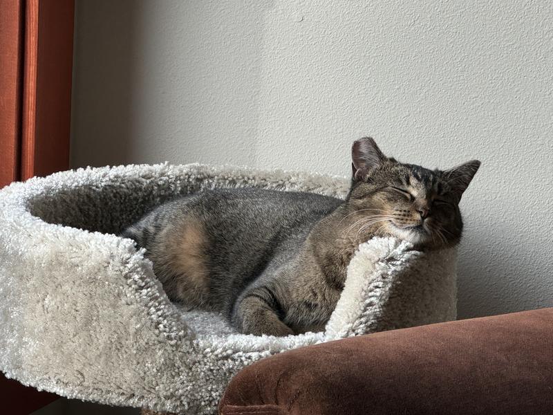 Ahhh, the good life!