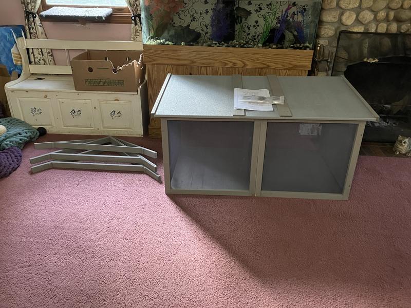 Kirby and Chelsea checking it out for the first time