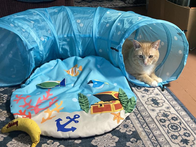 Chilling in the tunnel