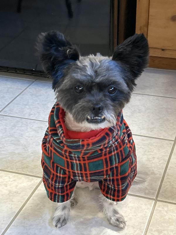 Feeling’ very fly, for a foster guy!