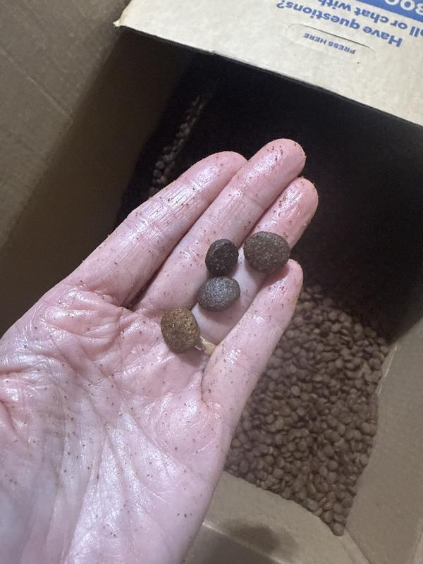 New (light and dark) vs old (dry and dark)